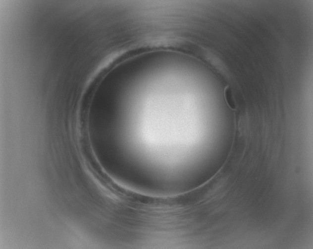 X0000054430722200508121817