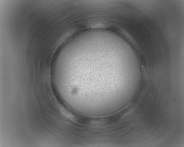 X0000054430725200508121817