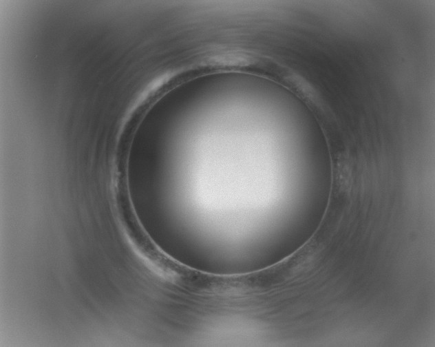 X0000054430726200508121817