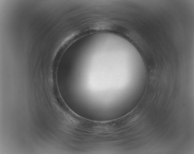 X0000054430727200508121817