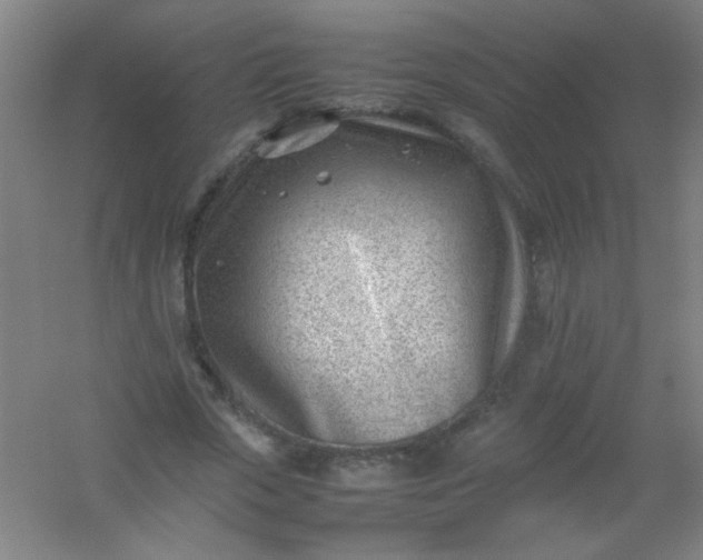 X0000054430729200508121817