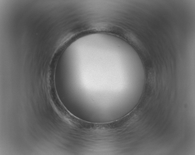 X0000054430730200508121818