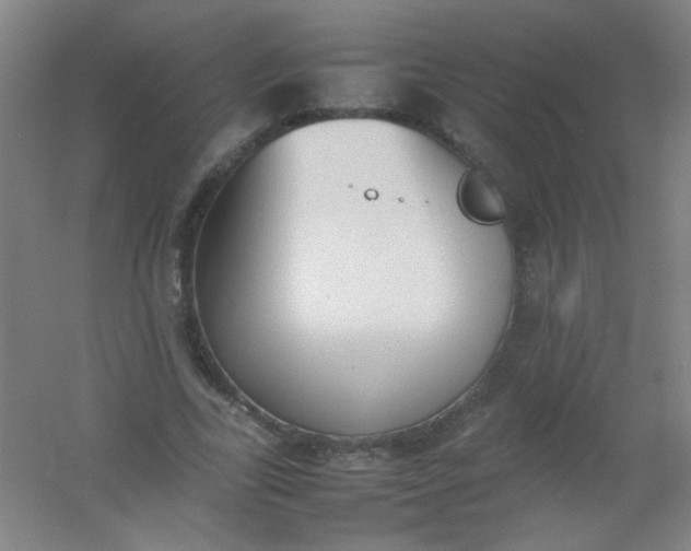 X0000054430731200508121818