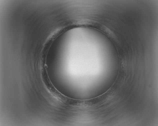 X0000054430732200508121818