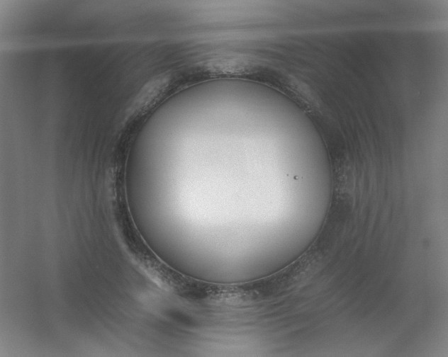 X0000054430738200508121818