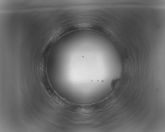 X0000054430739200508121818