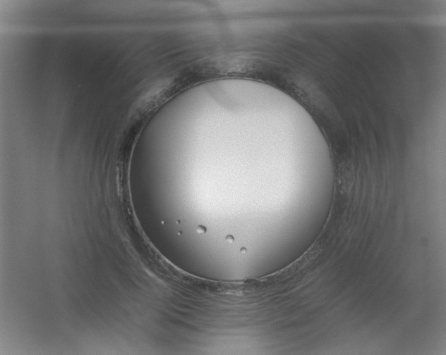 X0000054430740200508121818