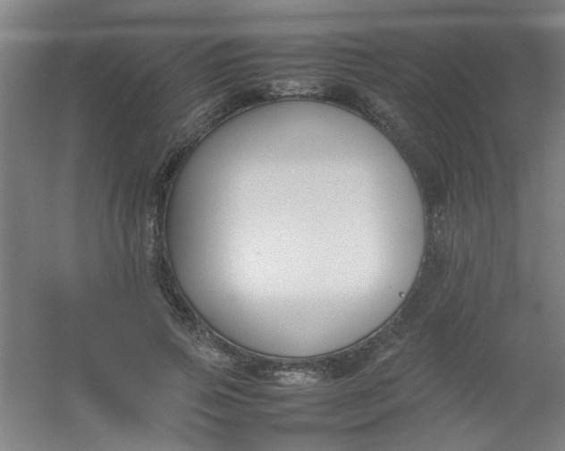 X0000054430741200508121818