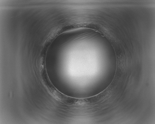 X0000054430742200508121818