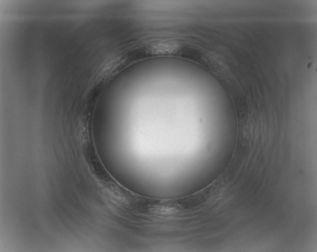 X0000054430743200508121818