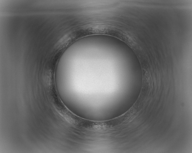 X0000054430744200508121818