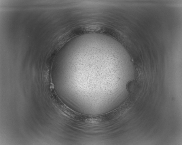 X0000054430745200508121818