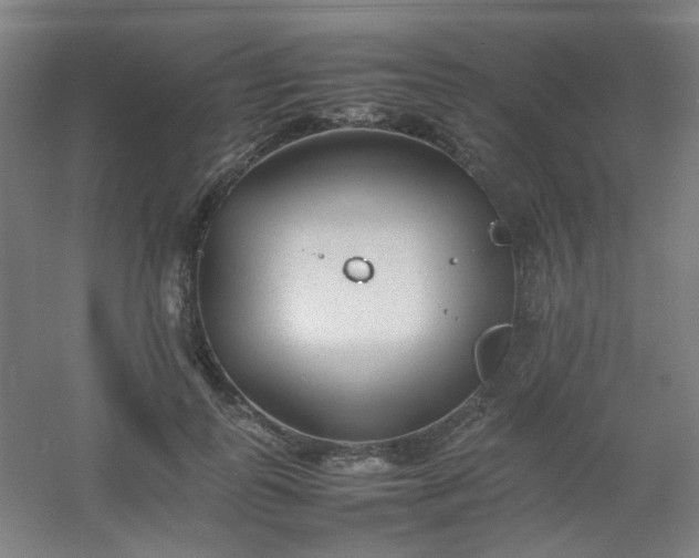 X0000054430747200508121818