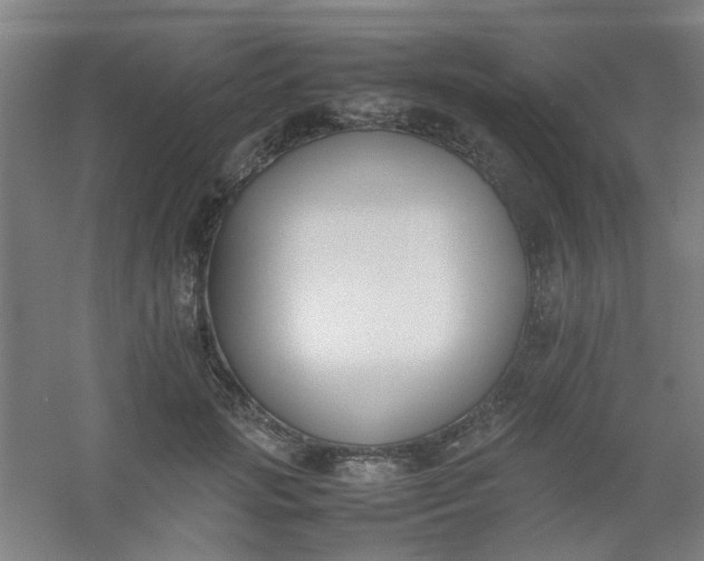 X0000054430749200508121818