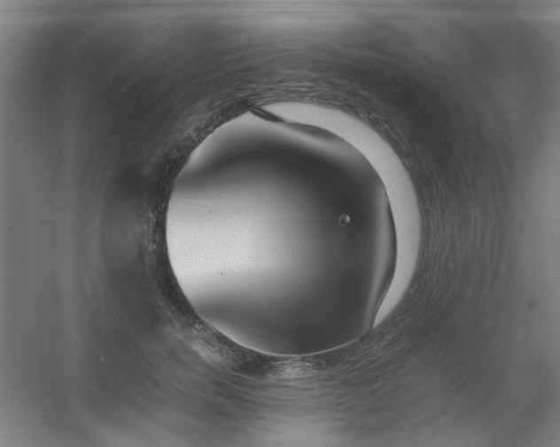 X0000054430750200508121818