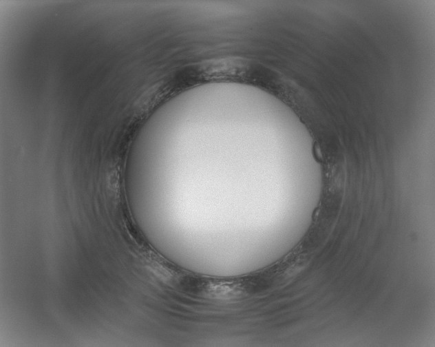 X0000054430753200508121818