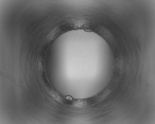 X0000054430754200508121818