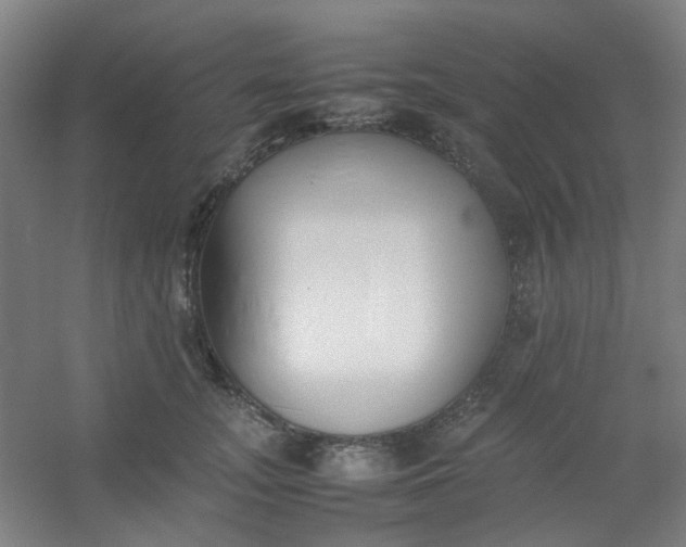 X0000054430755200508121818