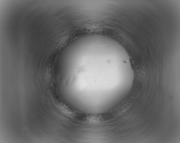 X0000054430756200508121818