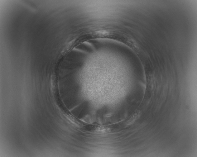 X0000054430760200508121818