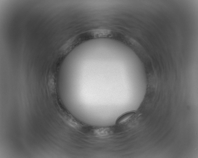 X0000054430761200508121818