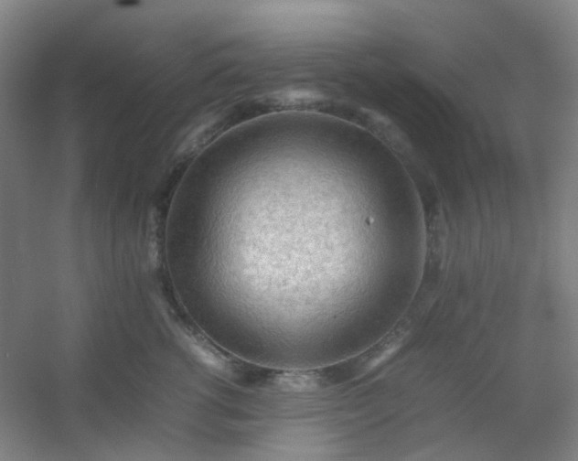 X0000054430762200508121818