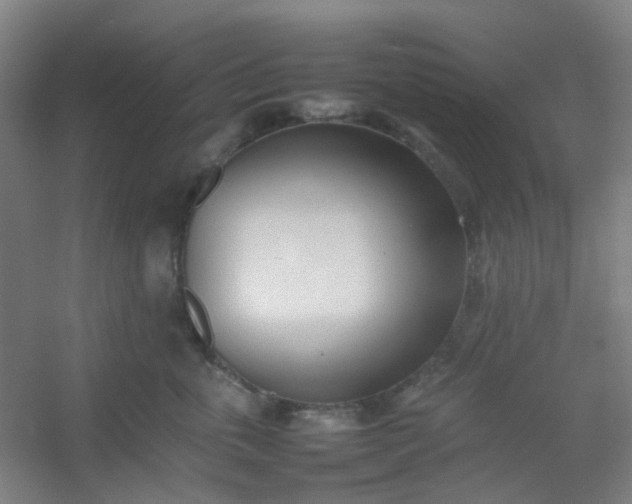 X0000054430763200508121818