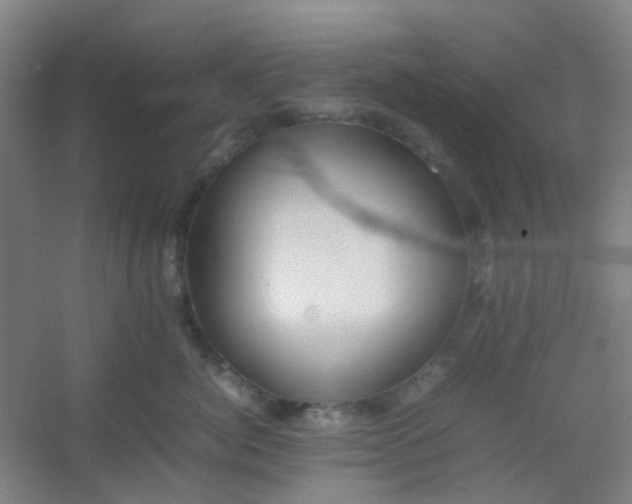 X0000054430764200508121818