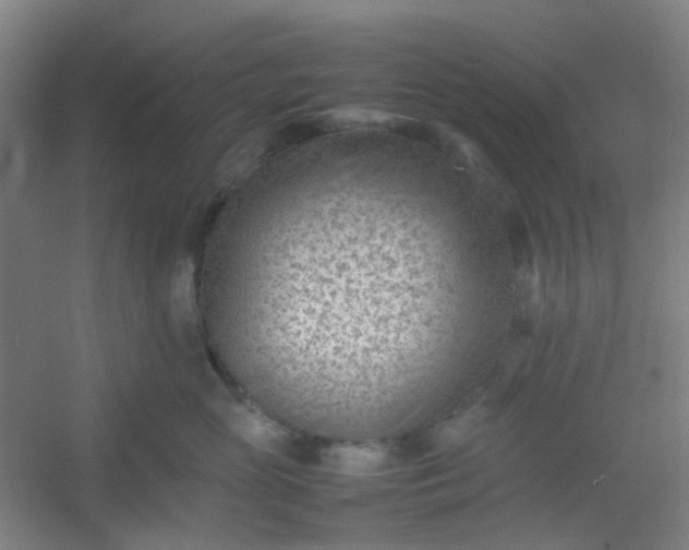 X0000054430765200508121818