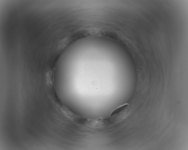 X0000054430768200508121818