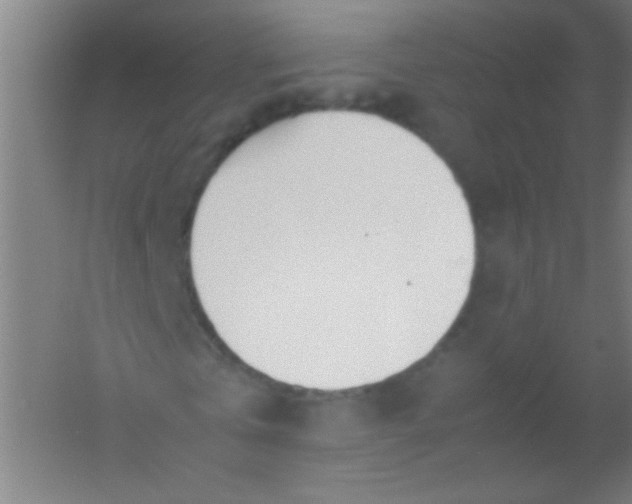 X0000054430769200508121817