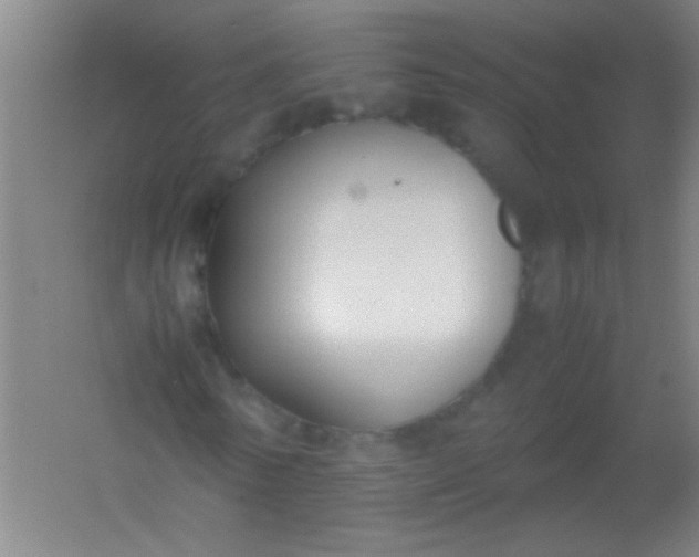 X0000054430770200508121817