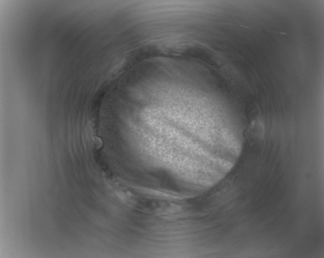 X0000054430772200508121817