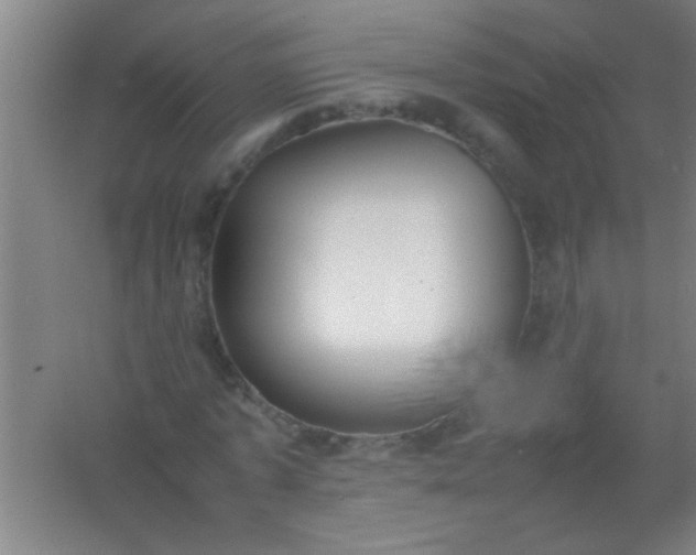 X0000054430773200508121817