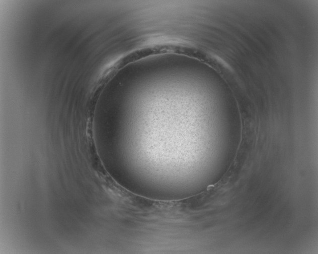 X0000054430775200508121817