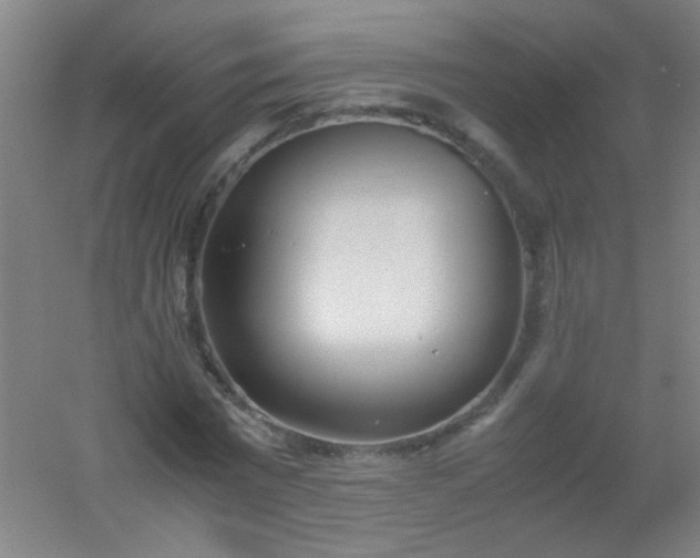 X0000054430777200508121817