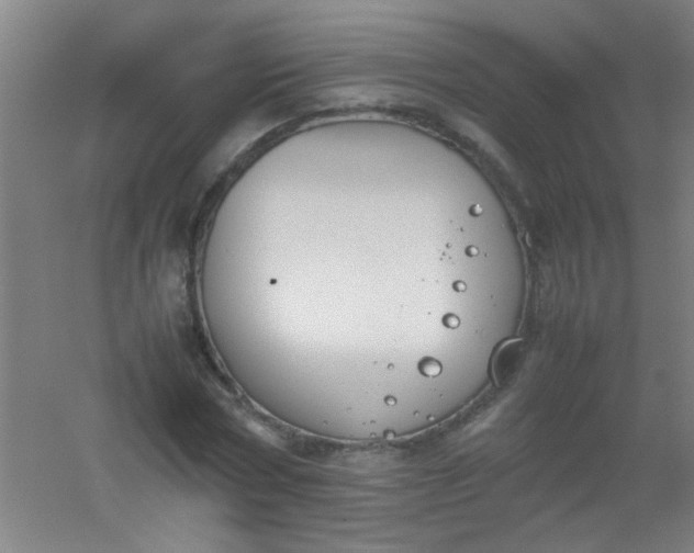 X0000054430778200508121817