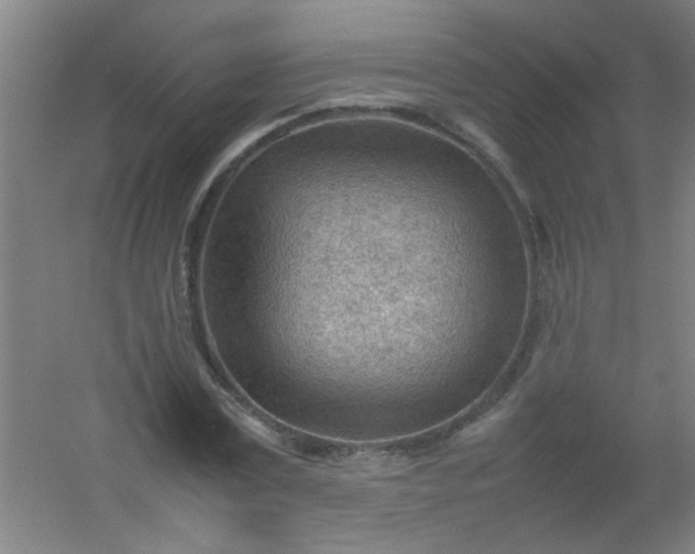 X0000054430779200508121817