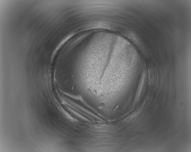 X0000054430780200508121817