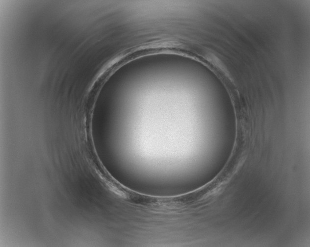 X0000054430781200508121817