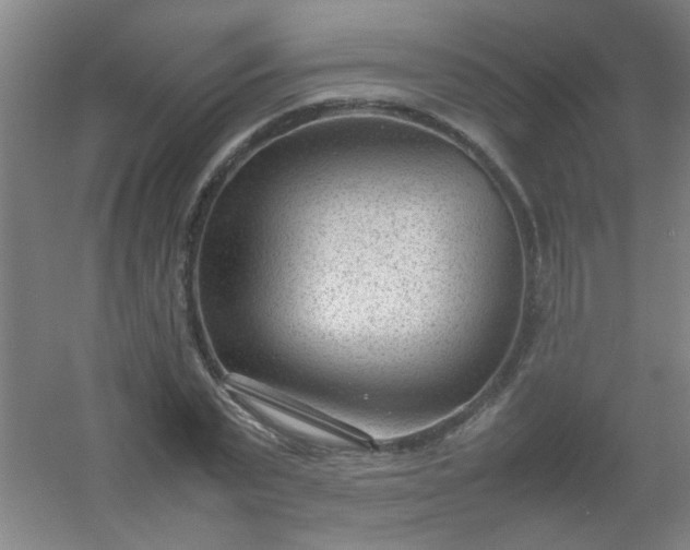 X0000054430783200508121817