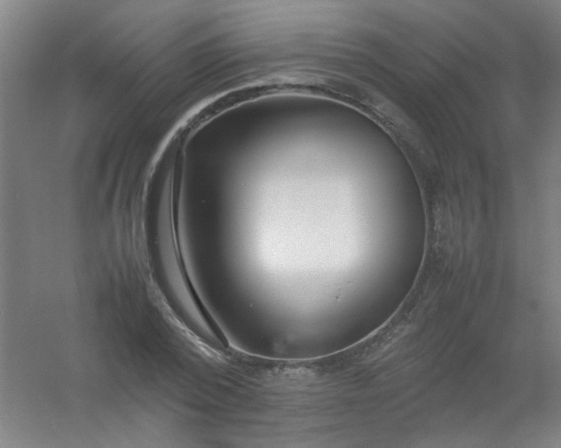 X0000054430784200508121817