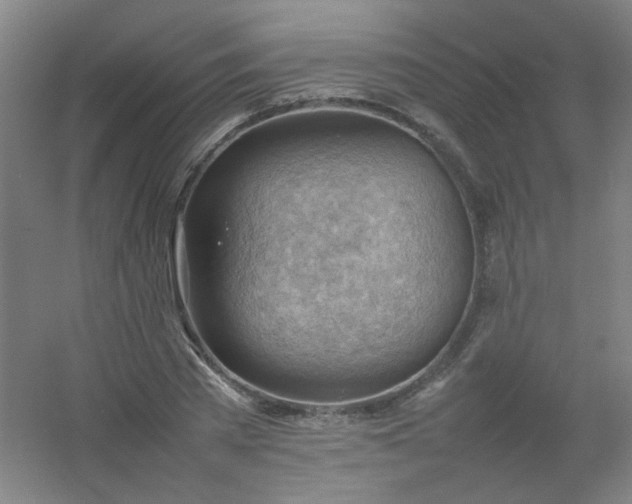 X0000054430785200508121817