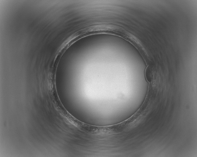 X0000054430786200508121817