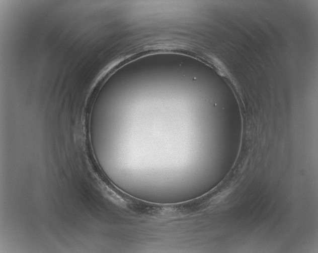 X0000054430787200508121817