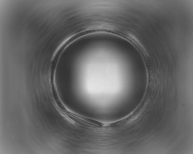 X0000054430788200508121817