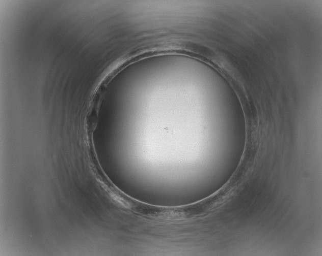 X0000054430789200508121817