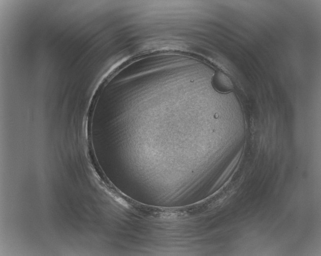 X0000054430790200508121817