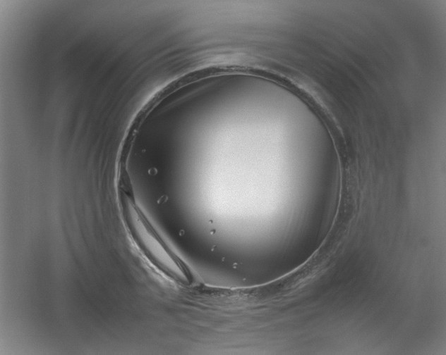 X0000054430791200508121817