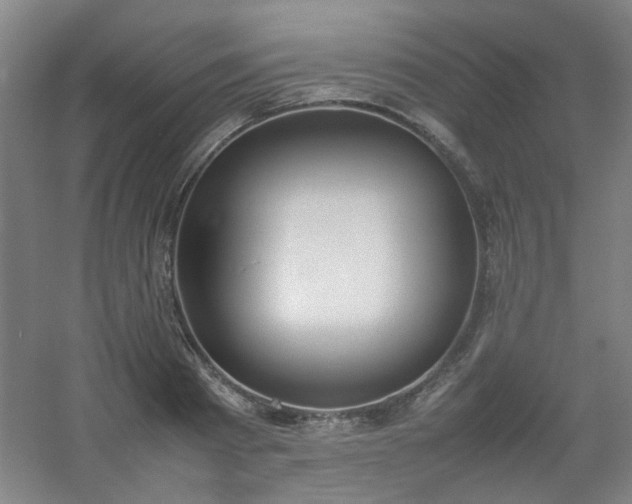 X0000054430793200508121817